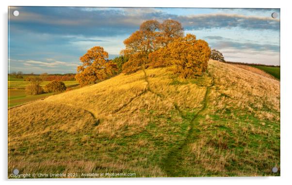 Robin Hood's Hill in warm Autumn light Acrylic by Chris Drabble