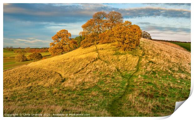 Robin Hood's Hill in warm Autumn light Print by Chris Drabble