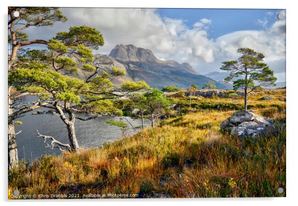 Slioch from the Loch Maree  Acrylic by Chris Drabble