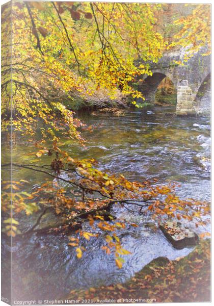 Autumn Colour by the Dart Canvas Print by Stephen Hamer