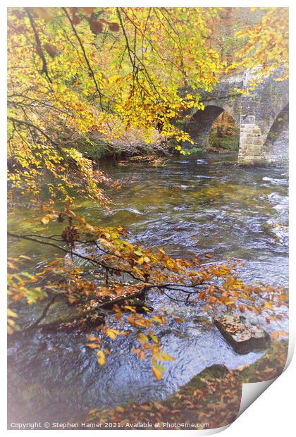 Autumn Colour by the Dart Print by Stephen Hamer