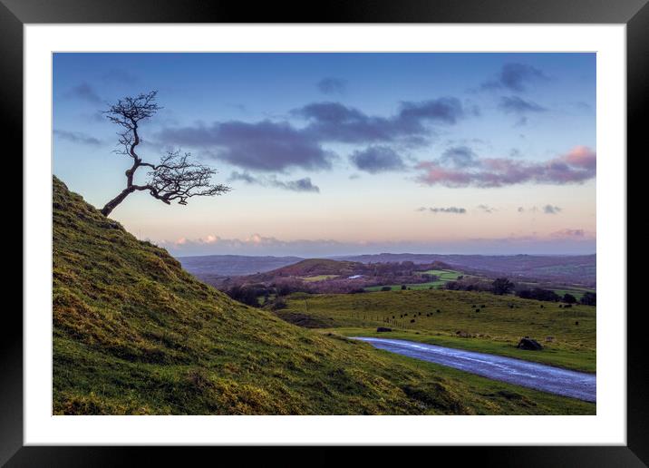 A lone tree in Winter Framed Mounted Print by Leighton Collins