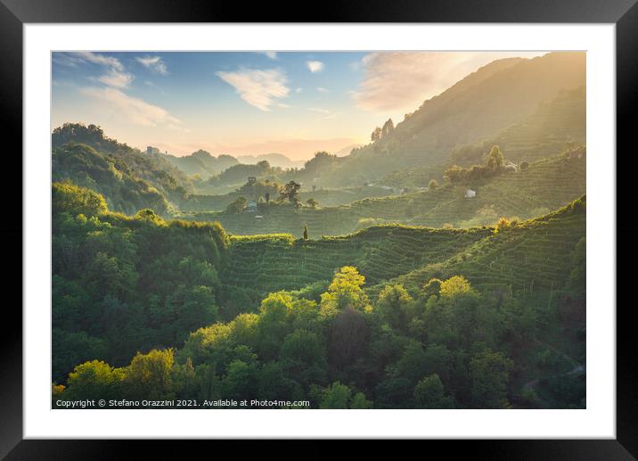 Prosecco Hills hogback, vineyards at sunset. Unesco Site. Veneto Framed Mounted Print by Stefano Orazzini