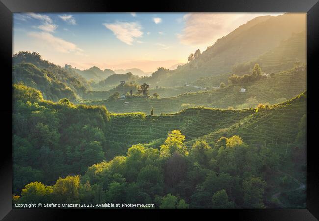 Prosecco Hills hogback, vineyards at sunset. Unesco Site. Veneto Framed Print by Stefano Orazzini