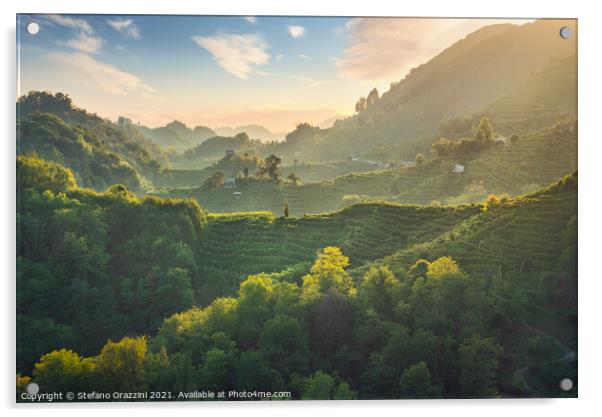 Prosecco Hills hogback, vineyards at sunset. Unesco Site. Veneto Acrylic by Stefano Orazzini
