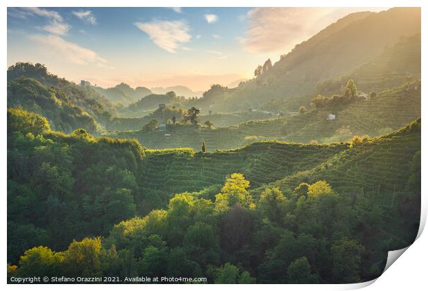 Prosecco Hills hogback, vineyards at sunset. Unesco Site. Veneto Print by Stefano Orazzini