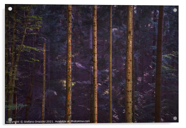 Acquerino nature reserve forest. Tree trunks vertical pattern. Acrylic by Stefano Orazzini