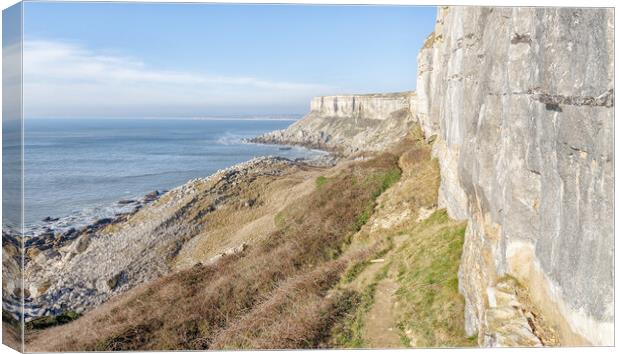 Portland Cliffs. Canvas Print by Mark Godden