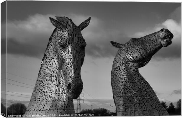 Black and white Kelpies in Scotland Canvas Print by Ann Biddlecombe