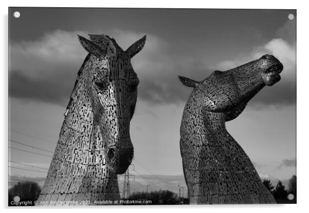 Black and white Kelpies in Scotland Acrylic by Ann Biddlecombe