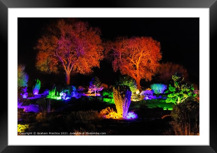 Wisley Christmas Glow Framed Mounted Print by Graham Prentice