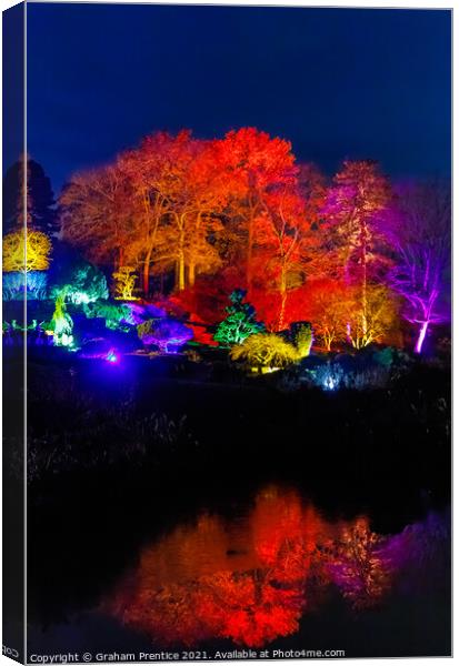 Wisley Christmas Glow Canvas Print by Graham Prentice