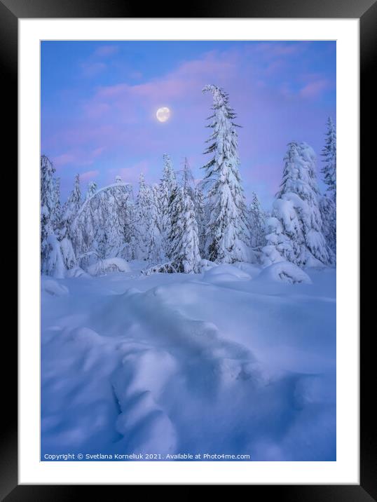 Snowy winter forest at sunset Framed Mounted Print by Svetlana Korneliuk