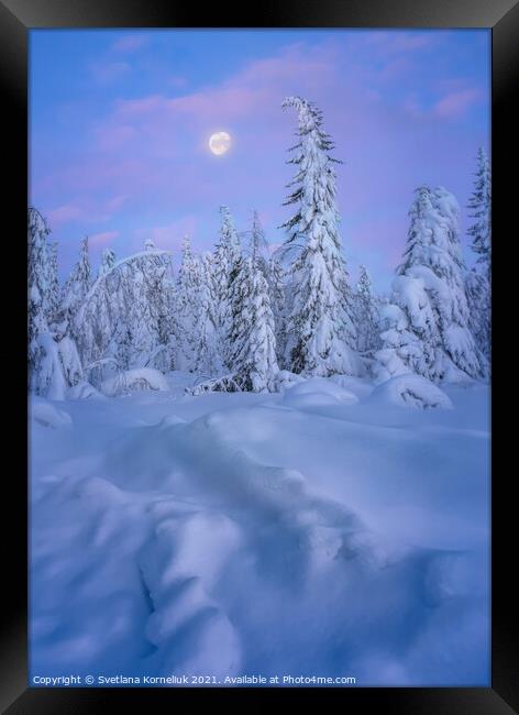Snowy winter forest at sunset Framed Print by Svetlana Korneliuk