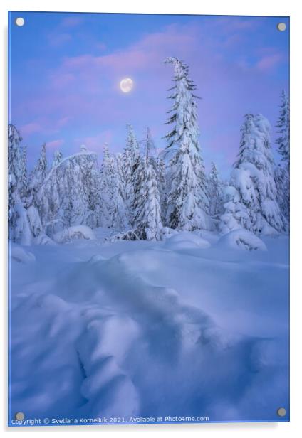 Snowy winter forest at sunset Acrylic by Svetlana Korneliuk