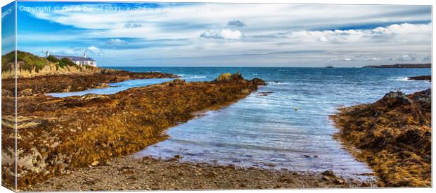 Bull Bay Anglesey Canvas Print by Derek Daniel