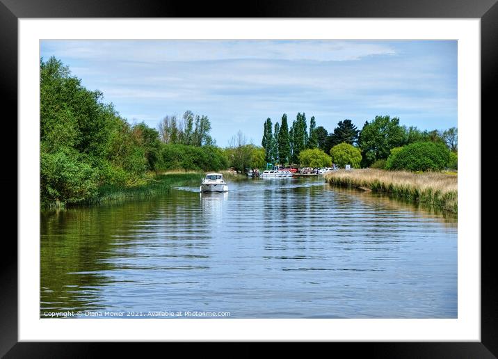 River Waveney Boating Framed Mounted Print by Diana Mower