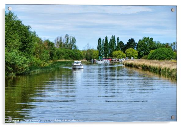 River Waveney Boating Acrylic by Diana Mower