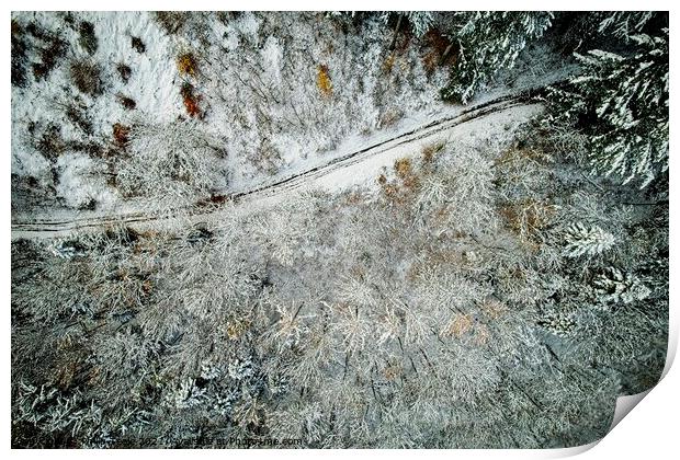 Winter Forest from Above Print by Philip Teale
