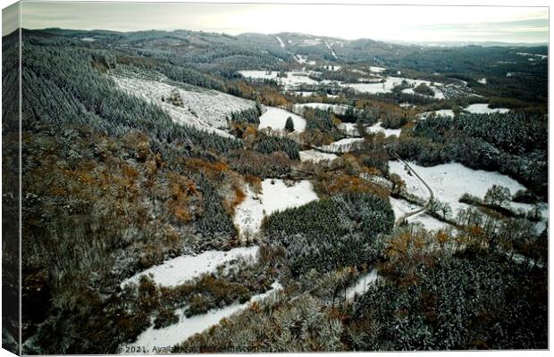 Aerial View of Snowy Forest Canvas Print by Philip Teale