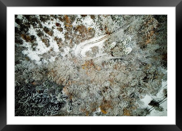 Winter Forest from Above Framed Mounted Print by Philip Teale