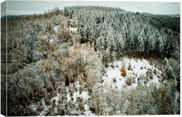 A snow covered forest from above Canvas Print by Philip Teale
