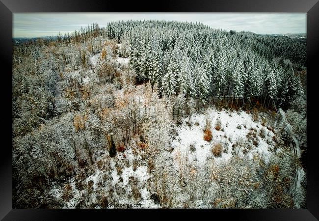 A snow covered forest from above Framed Print by Philip Teale