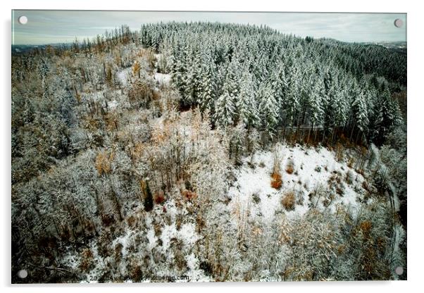 A snow covered forest from above Acrylic by Philip Teale