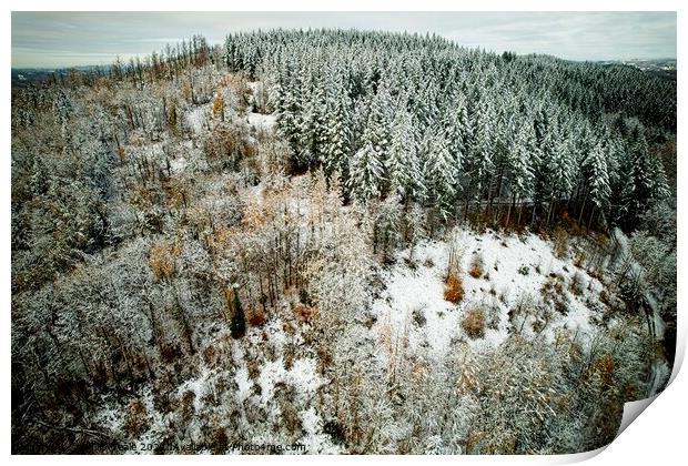 A snow covered forest from above Print by Philip Teale