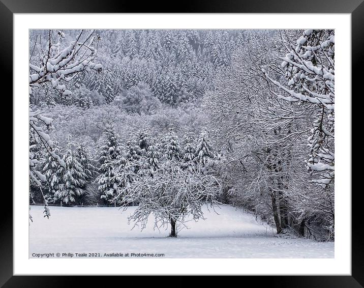Forest Snow Framed Mounted Print by Philip Teale