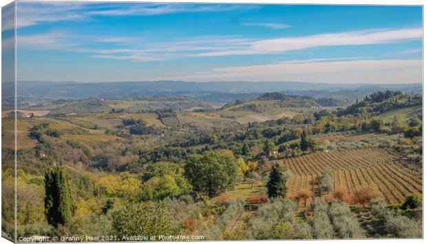 Tuscan Countryside Canvas Print by Margaret Ryan
