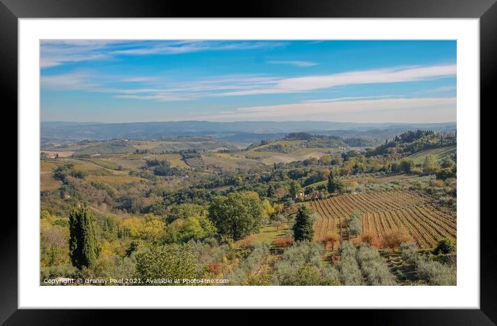 Tuscan Countryside Framed Mounted Print by Margaret Ryan