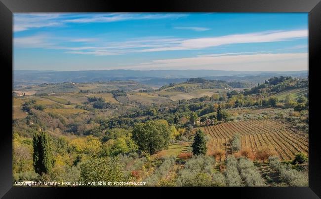 Tuscan Countryside Framed Print by Margaret Ryan