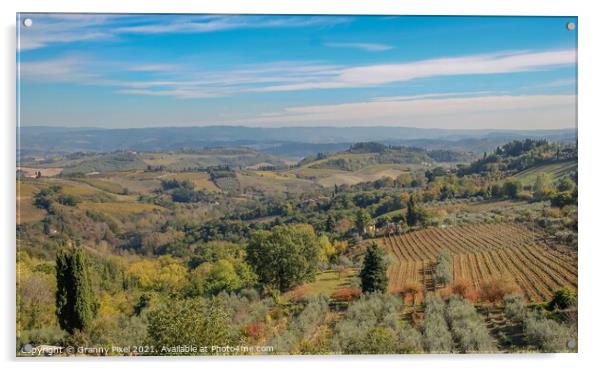 Tuscan Countryside Acrylic by Margaret Ryan