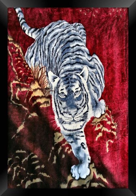 Tiger Framed Print by Tony Mumolo