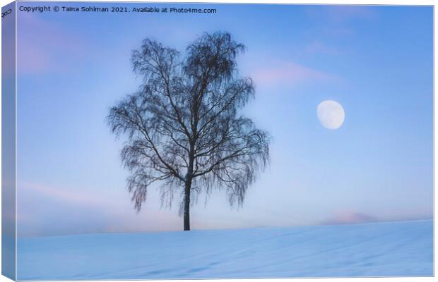 Birch Tree and The Moon in Winter Blue Hour Canvas Print by Taina Sohlman
