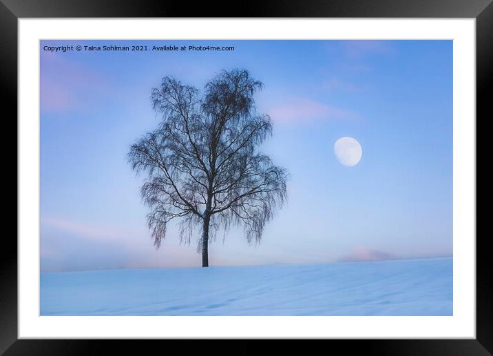 Birch Tree and The Moon in Winter Blue Hour Framed Mounted Print by Taina Sohlman