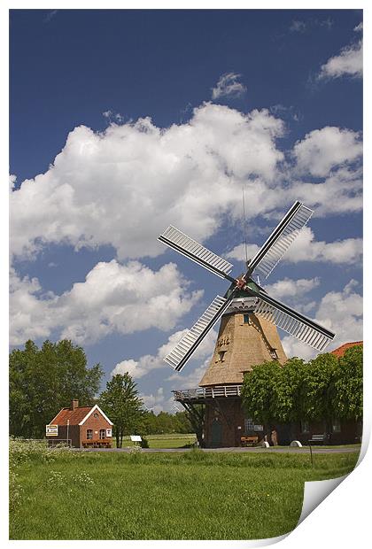 Bagband Windmill Print by Thomas Schaeffer