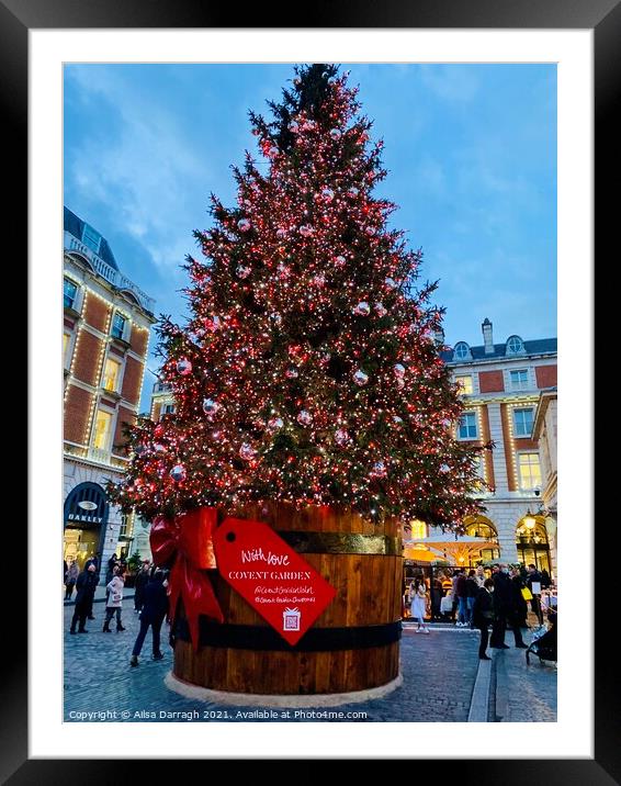 Covent Garden Christmas Tree, London Framed Mounted Print by Ailsa Darragh