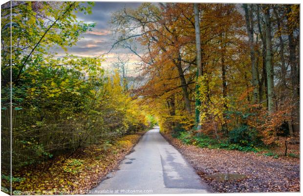 Autumn trees in the chilterns Canvas Print by Piers Thompson