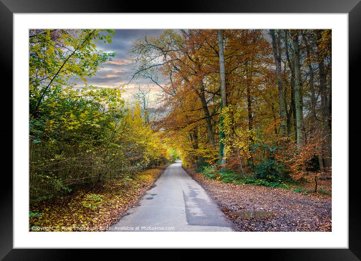 Autumn trees in the chilterns Framed Mounted Print by Piers Thompson