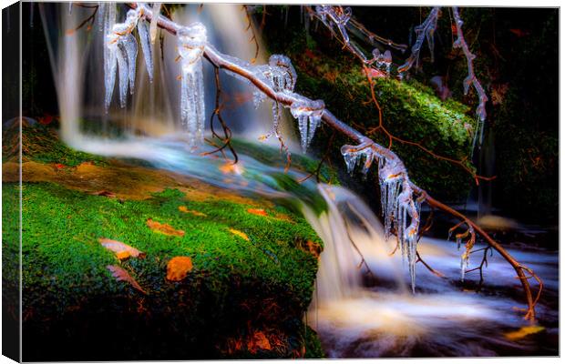 Winter stream Canvas Print by geoff shoults