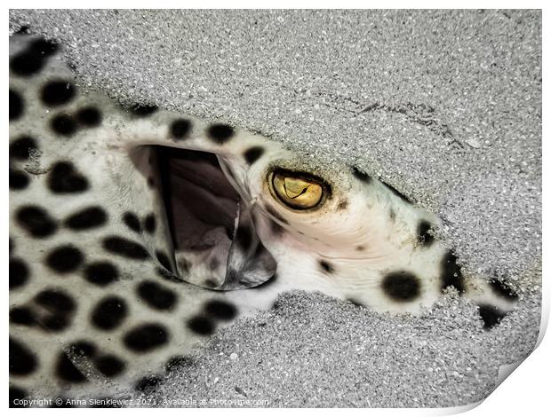 Leopard Ray Print by Anna Sienkiewicz