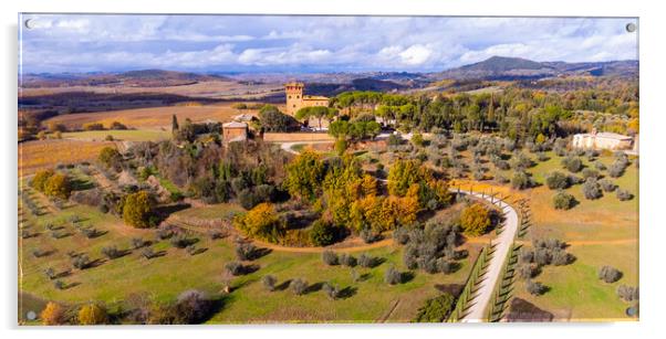 Colorful Tuscany in Italy - the typical landscape and rural fiel Acrylic by Erik Lattwein