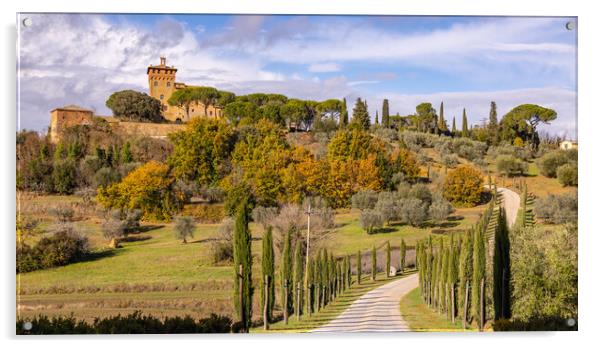 Typical view in Tuscany with cypress trees and beautiful estates Acrylic by Erik Lattwein
