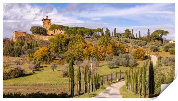 Typical view in Tuscany with cypress trees and beautiful estates Print by Erik Lattwein
