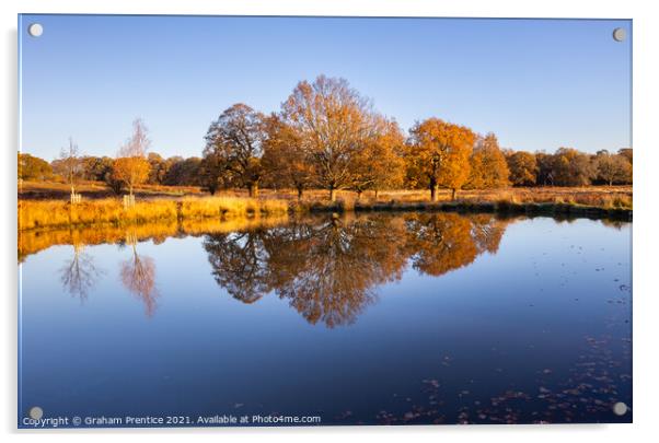 Leg of Mutton Pond in Richmond Park Acrylic by Graham Prentice