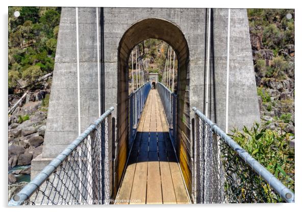 Suspension bridge in Cataract Gorge - Launceston Acrylic by Laszlo Konya