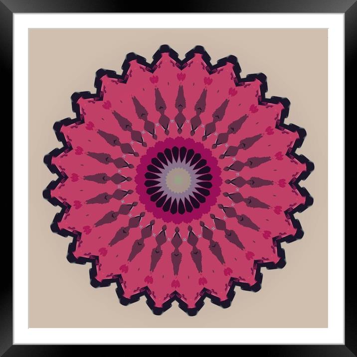 Mandala Fun Framed Mounted Print by Vickie Fiveash