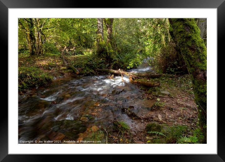 A small river in a woodland with the sunlight on the water Framed Mounted Print by Joy Walker